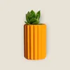 VASO 1