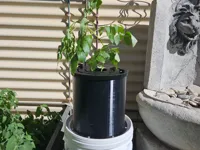 0.2mm layer, 3 walls, 15% infill