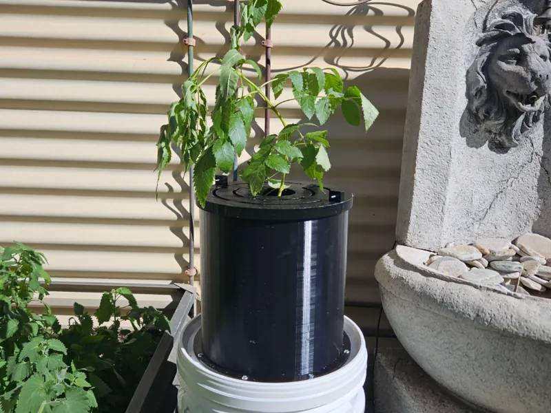 Hydrponic bucket 