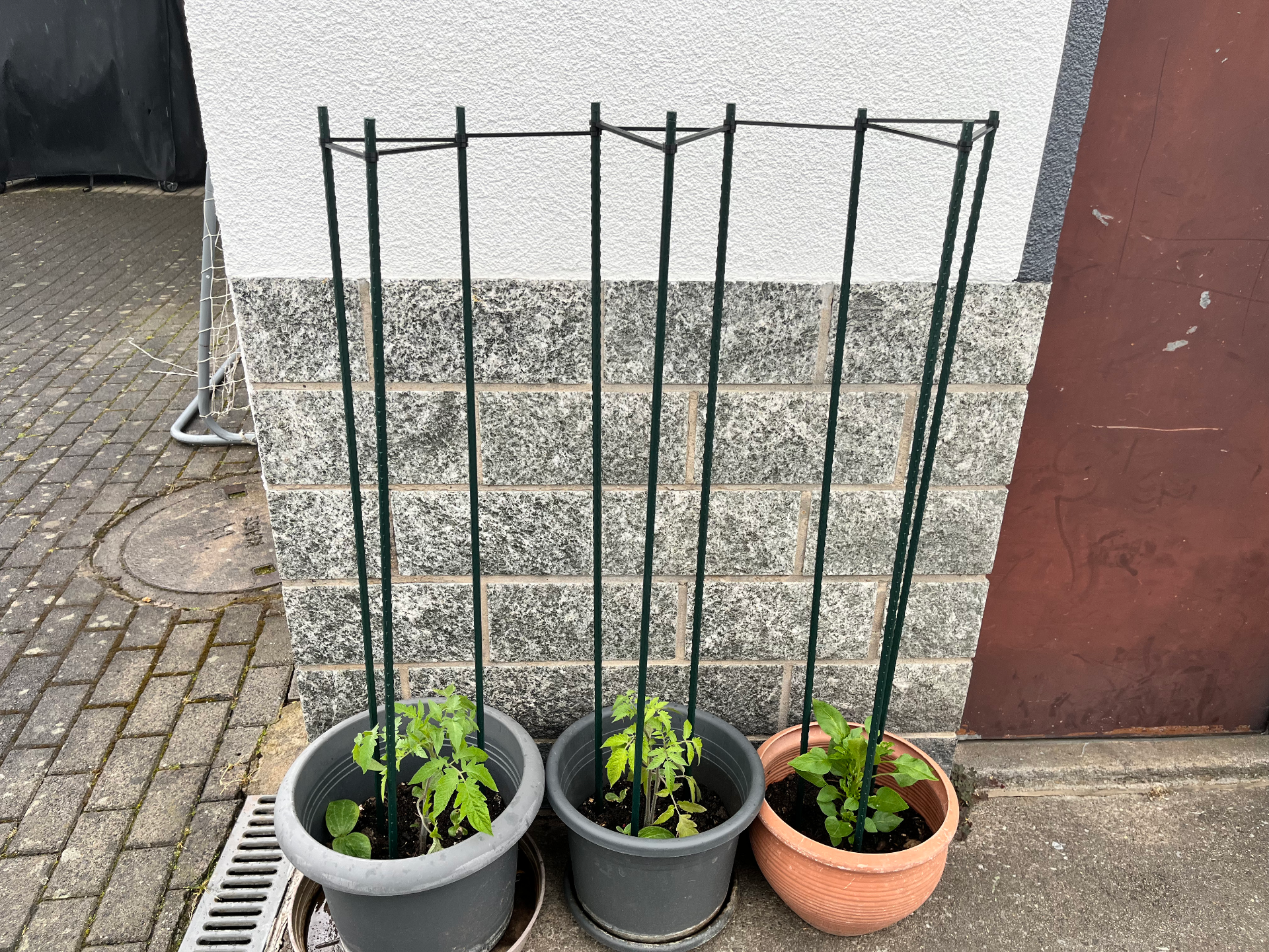 Modulares Pflanzenstützen‑Verbindungsstück
