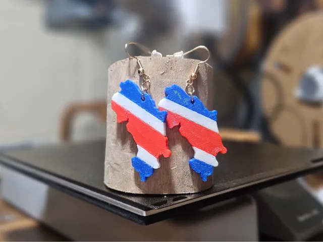 Costa Rican Flag Earrings