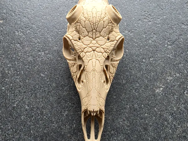 https://makerworld.bblmw.com/makerworld/model/US25521c246ed3f9/design/8c025a72f55e5462.jpg