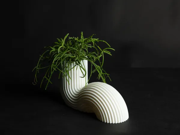 https://makerworld.bblmw.com/makerworld/model/US255327f9724f02/design/2025-02-23_3429e4d0acc2.jpeg