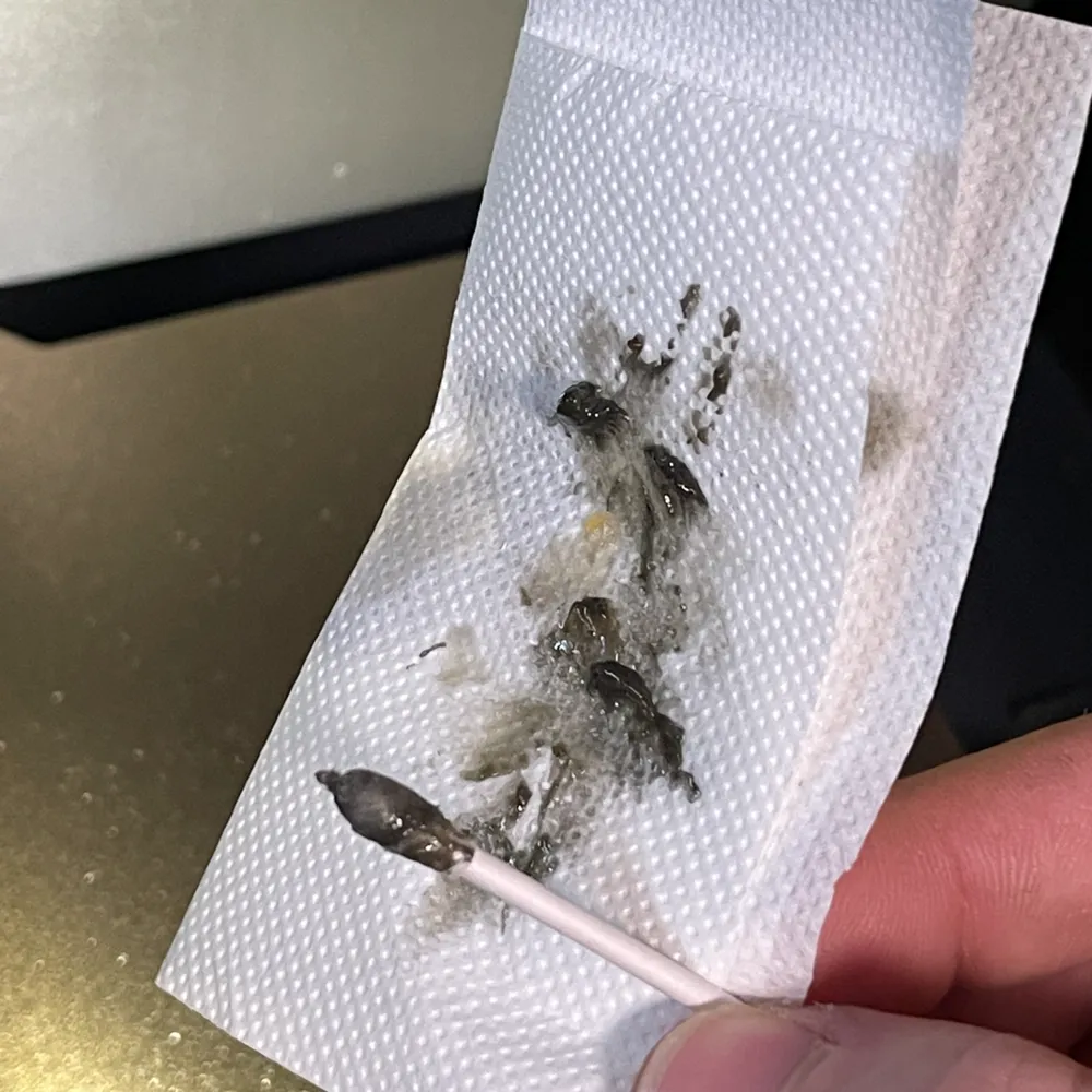 Easier P1P Spindle Maintenance Cleaning GCODE by ToolsByDenis MakerWorld