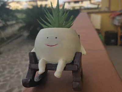 Happy Succulent Planter on Rocking Chair