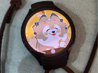 Galaxy Watch Adapter (44m)