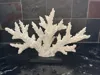0.2mm layer, 2 walls, 10% infill