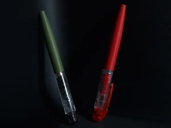 https://makerworld.bblmw.com/makerworld/model/US25609ac05cb437/design/da29c2e6066490d0.jpg