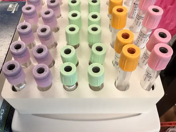 https://makerworld.bblmw.com/makerworld/model/US2562c7f60bb0e5/design/2025-05-26_531a3efc4990c8.webp