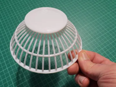 Drain grid
