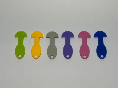 Removeable Trolley Key for AUS $2 Coin Size