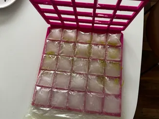 ice cube maker ( make any bag, an ice cube bag)