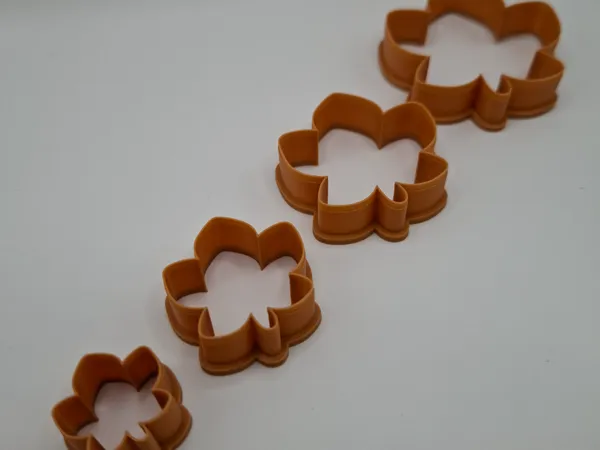 https://makerworld.bblmw.com/makerworld/model/US2575b5988db63a/design/f20153d2727eea2b.jpg