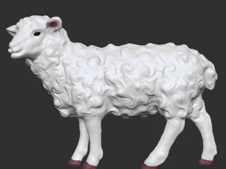 sheep