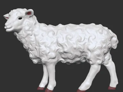 sheep