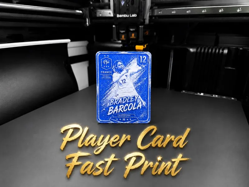 Bradley Barcola Player Card