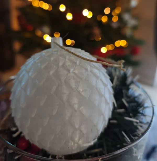 https://makerworld.bblmw.com/makerworld/model/US257f53f3b59501/design/2024-12-01_162a78c3e481b.jpg