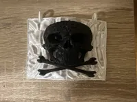 VELA CALAVERA T-M