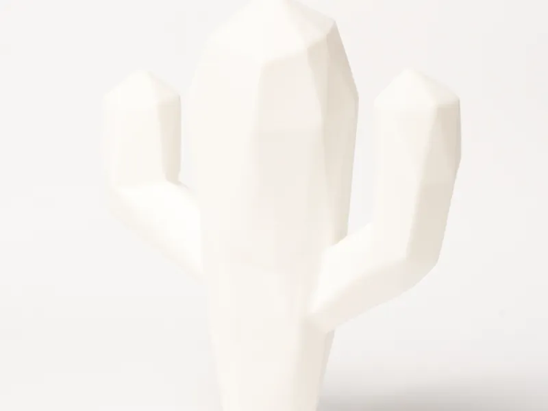 Cactus Low Poly