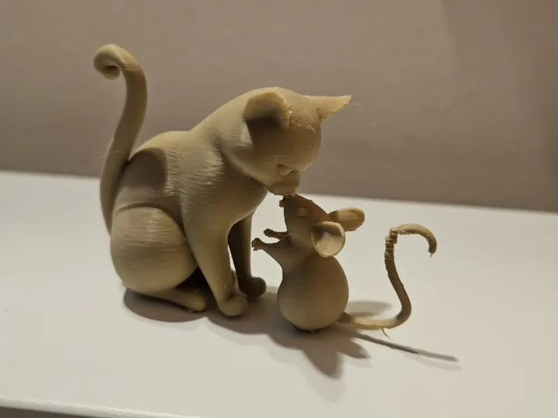 Gatto e topo