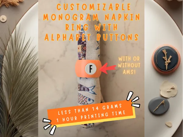 https://makerworld.bblmw.com/makerworld/model/US258763bc39fc1f/design/2026-01-11_89719adc2ea9a.png