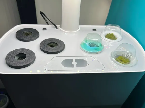 https://makerworld.bblmw.com/makerworld/model/US2589cc753caa27/design/dbf804407518d6db.jpg
