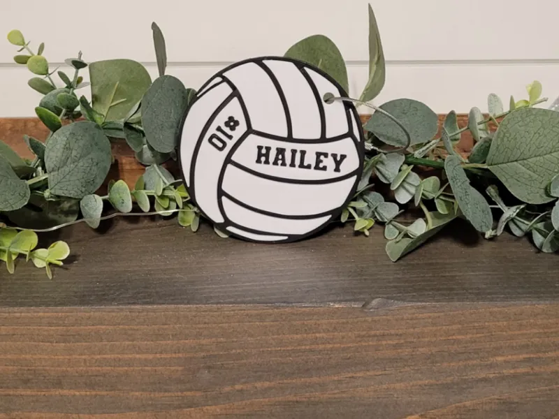 Volleyball Keychain/Bag Tag