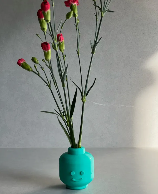 https://makerworld.bblmw.com/makerworld/model/US25946a90f9e53c/design/2024-06-28_bde5aeaaaa074.jpeg