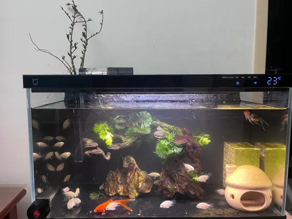https://makerworld.bblmw.com/makerworld/model/US2594bde2e30b25/design/2025-04-11_5fc93ea729b99.jpg