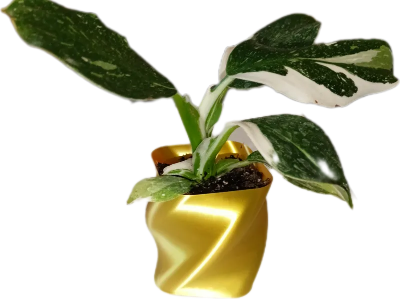 Modern Spiral Vase – Fast Vase Mode Print