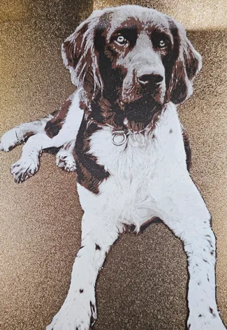 Small Munsterlander HueForge Dog