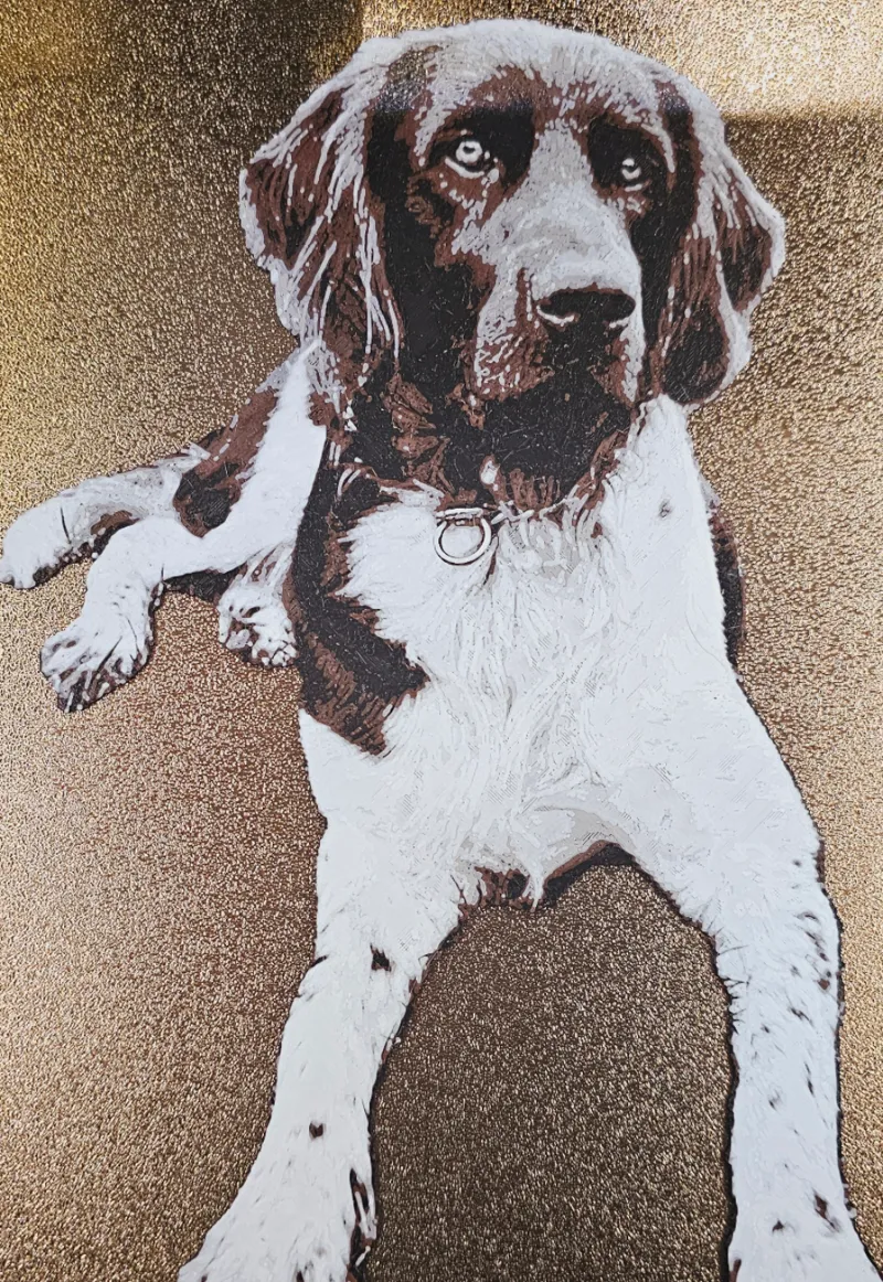 Small Munsterlander HueForge Dog