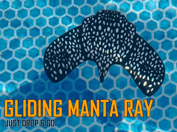 Gliding Manta Ray - Just drop & GO!