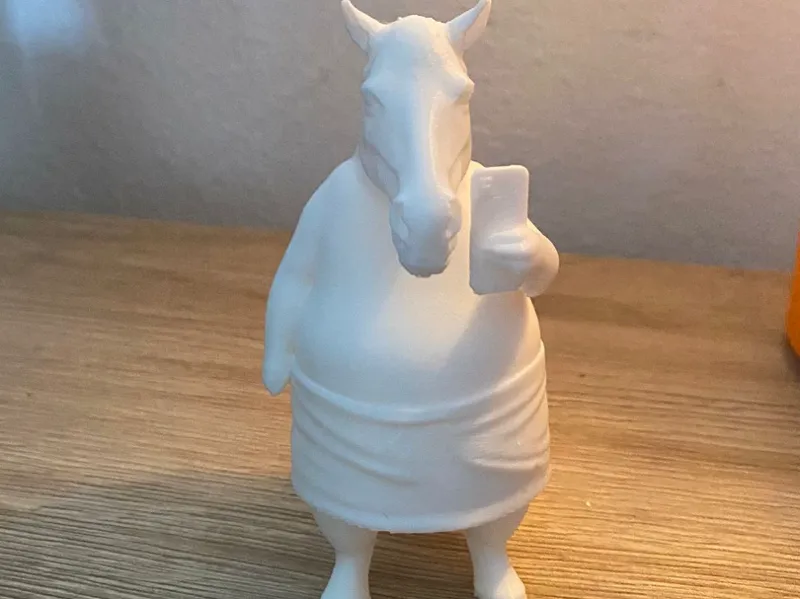 Cavallo Chill con asciugamano