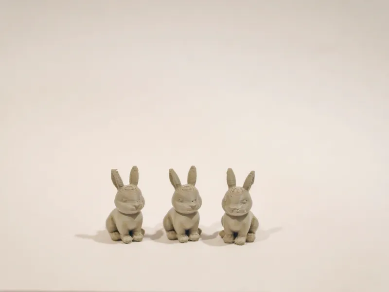 Lil' bunniesss