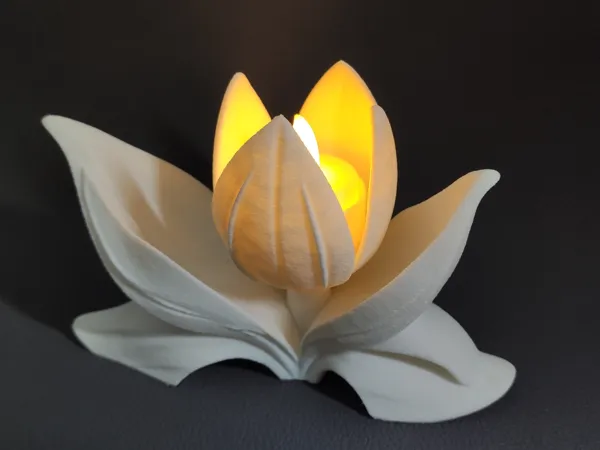 https://makerworld.bblmw.com/makerworld/model/US259f5938acdb26/design/2025-04-15_94d0d81629948.jpg