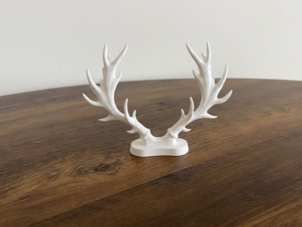 Reindeer Antlers on Stand - Decorative  Model