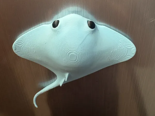 https://makerworld.bblmw.com/makerworld/model/US25a1b500395ad8/design/2e8ce68f79e0a331.jpeg