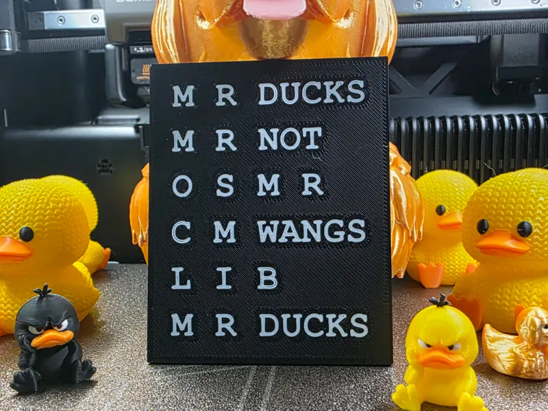 M R DUCKS
