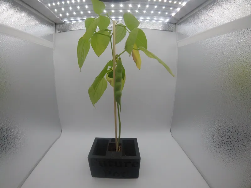 Smart Pot