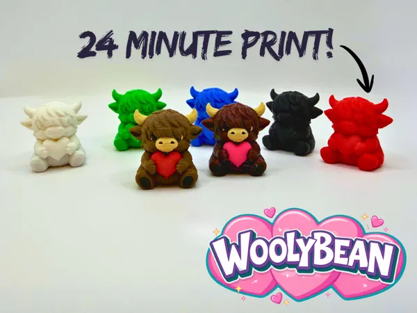 https://makerworld.bblmw.com/makerworld/model/US25ae39f814d59d/design/2026-01-12_8b2ba02c028d78.png