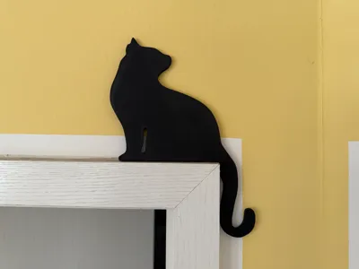 Cat sitting on the door frame