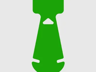 Dragon hanging tag