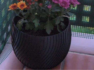 Big plant pot with vase