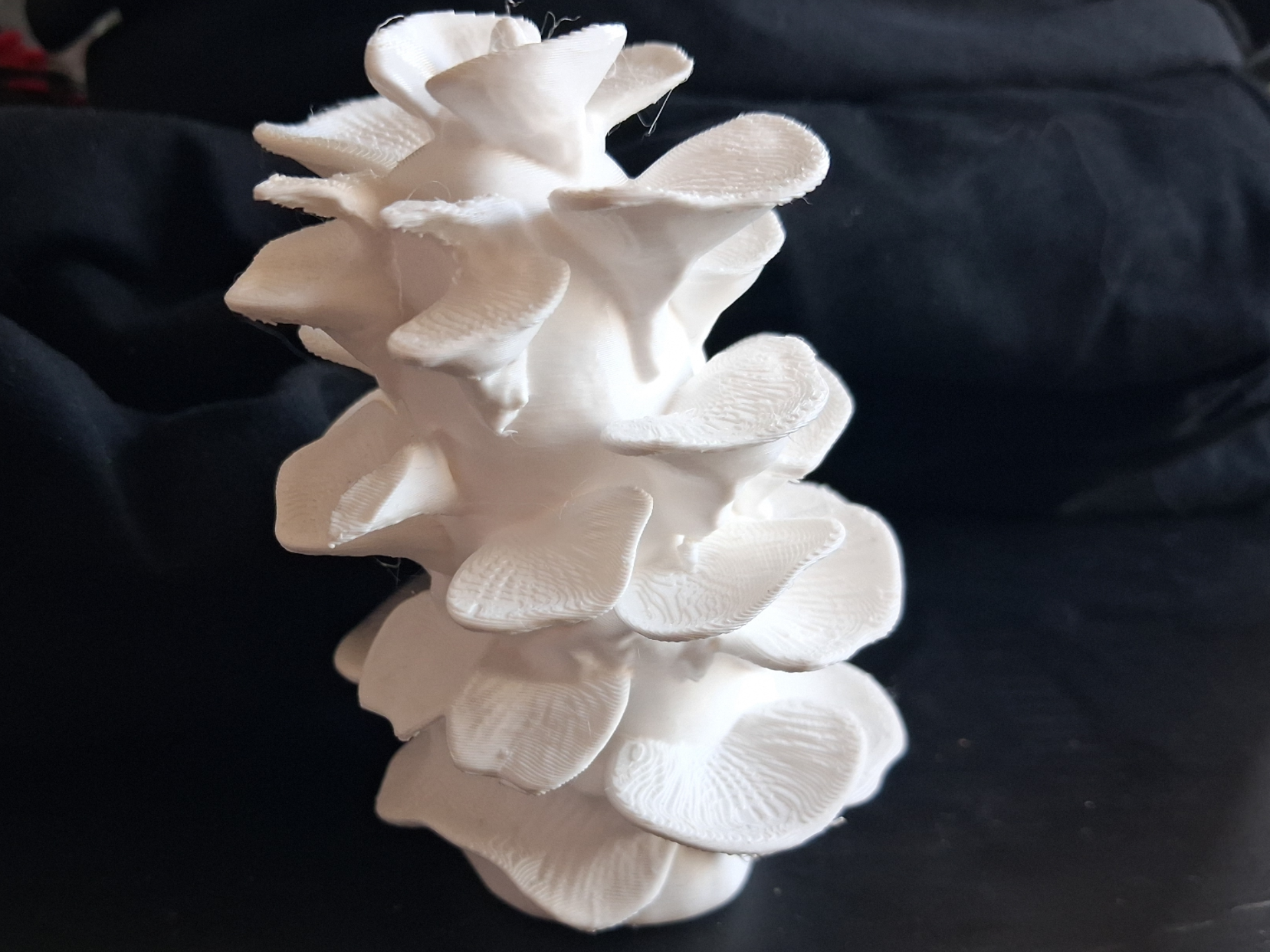 Towering Shell Sculpture