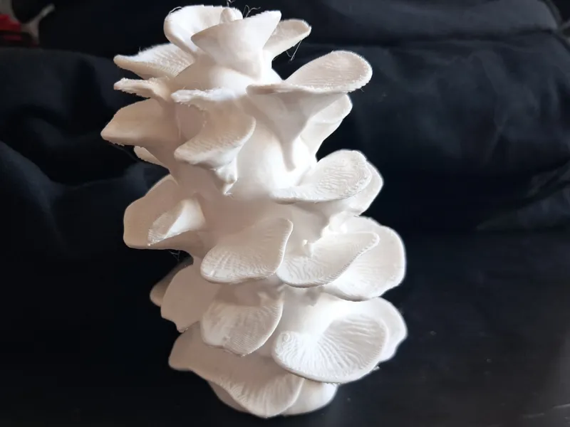 Towering Shell Sculpture