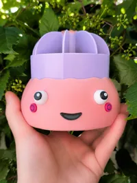 Dumpling Organaizer