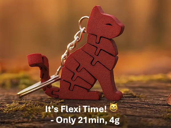 https://makerworld.bblmw.com/makerworld/model/US25c00cf5f82a70/design/2025-10-20_2b7d75969e3bd8.png