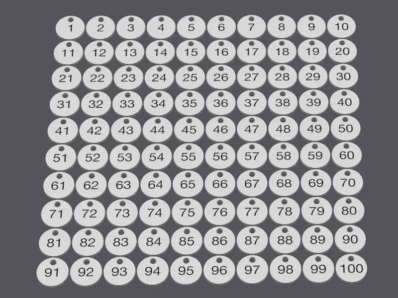 Both sides number tag keychain 1-100