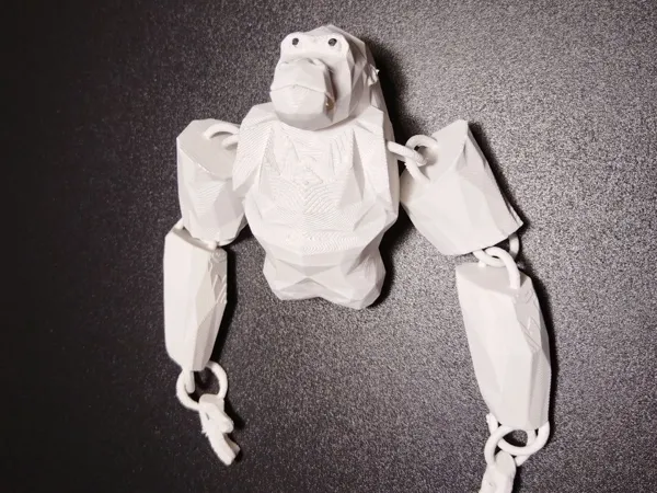 https://makerworld.bblmw.com/makerworld/model/US25c5b60dcb50c0/design/9a92f42b3b6a5e6a.jpg